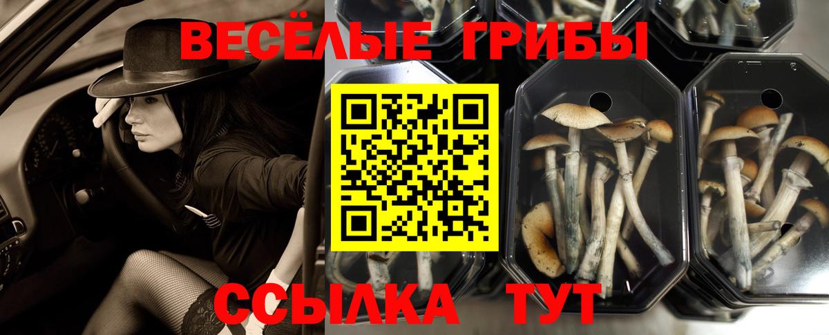 Псилоцибиновые грибы ЛСД  Вход с VPN  Рубцовск 
